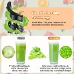 LQZ 350W Cold Press Juicer - Slow Masticating, 4.3&5.4 Inch Feed Chute, High Juice Yield, Easy Clean, 55rpm Technology for Whole Fruits & Veggies - Image 5